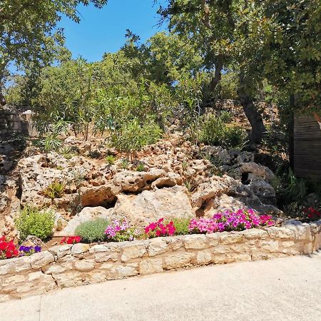 Villa Ermis - The Cretan Castello Kastellos Ngoại thất bức ảnh