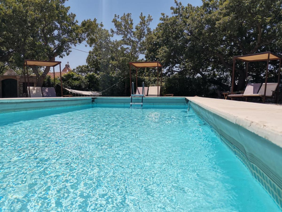 Villa Ermis - The Cretan Castello Kastellos Ngoại thất bức ảnh