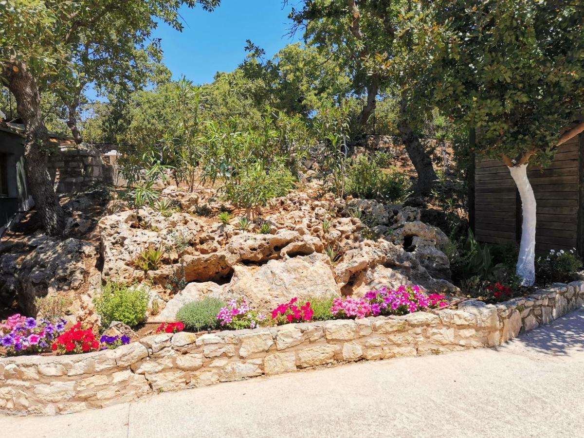 Villa Ermis - The Cretan Castello Kastellos Ngoại thất bức ảnh