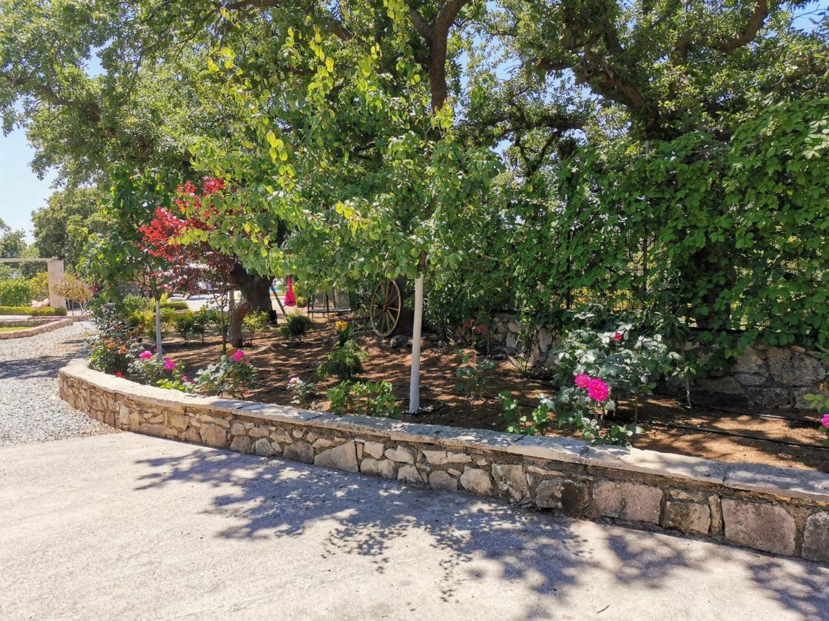 Villa Ermis - The Cretan Castello Kastellos Ngoại thất bức ảnh